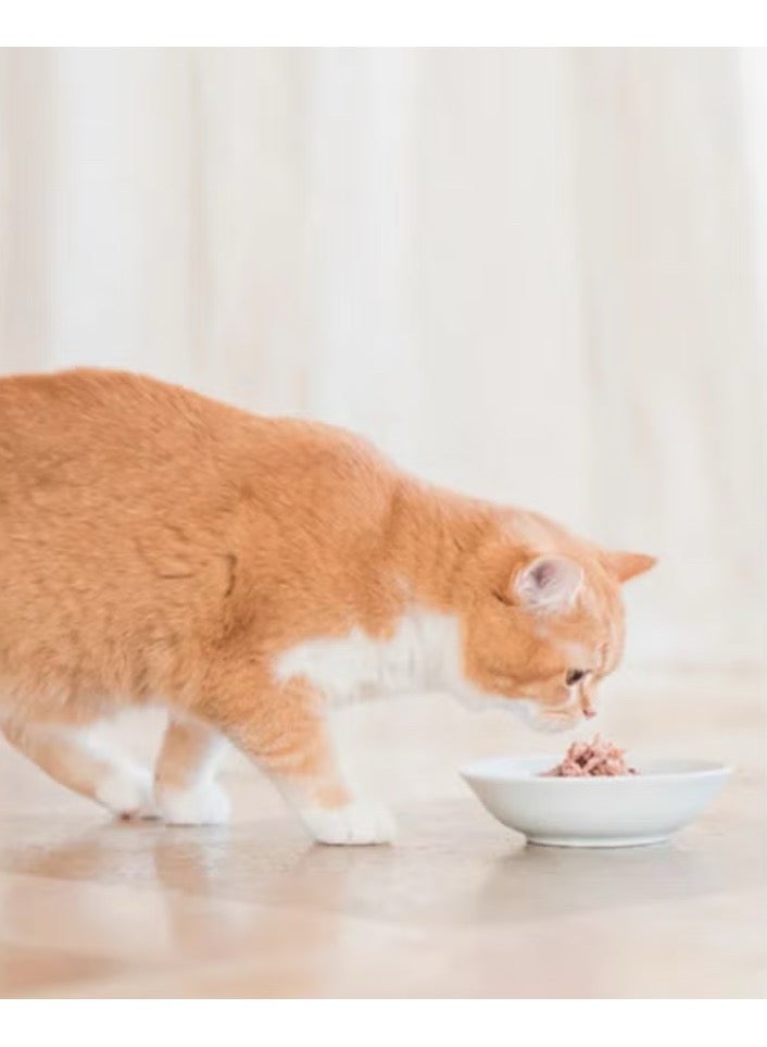 Schesir Tuna with 100g Multicolor Bass Bag - Image 2