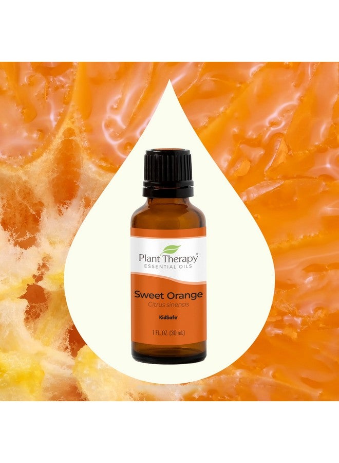 بلانت ثيرابي زيت البرتقال الحلو العطري نقي 100%، غير مخفف، علاج عطري طبيعي، درجة علاجية 30 مل (1 أونصة) - Image 3