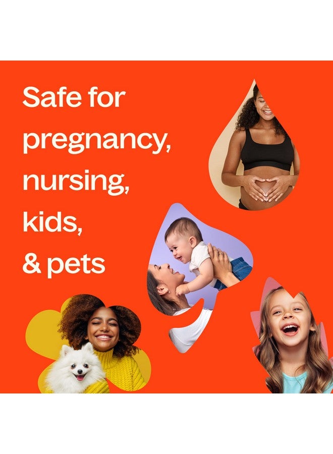 بلانت ثيرابي زيت البرتقال الحلو العطري نقي 100%، غير مخفف، علاج عطري طبيعي، درجة علاجية 30 مل (1 أونصة) - Image 5