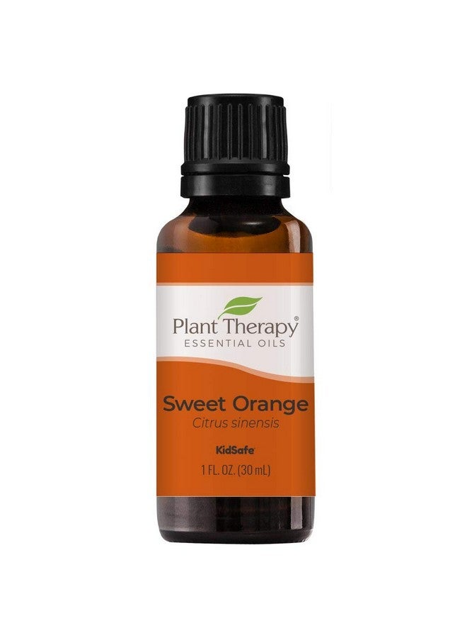 بلانت ثيرابي زيت البرتقال الحلو العطري نقي 100%، غير مخفف، علاج عطري طبيعي، درجة علاجية 30 مل (1 أونصة) - Image 1