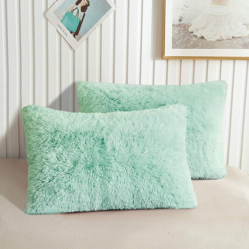 XeGe Faux Fur Throw Pillow Cases Plush Shaggy Ultra Soft Pillow Covers Fluffy Crystal Velvet Decorative Pillowcases Furry Fuzzy Pillow Shams Zipper Closure Set of 2 Standard Aqua Green