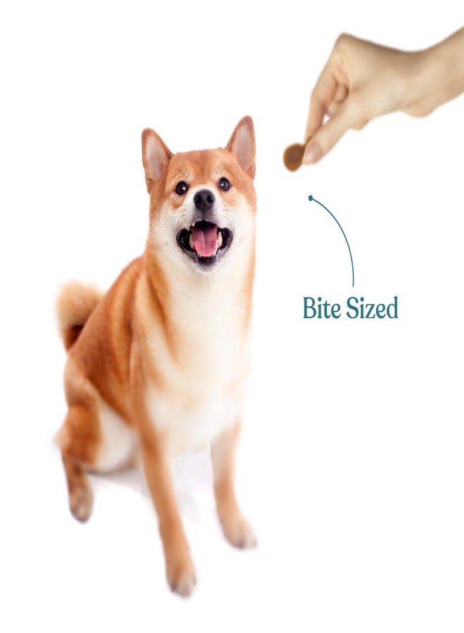 Snackers Coconut and Chicken Dog Treats with Jar 200g | Grain-Free Healthy Chews for Dogs | Supports Teeth & Gums - Image 4