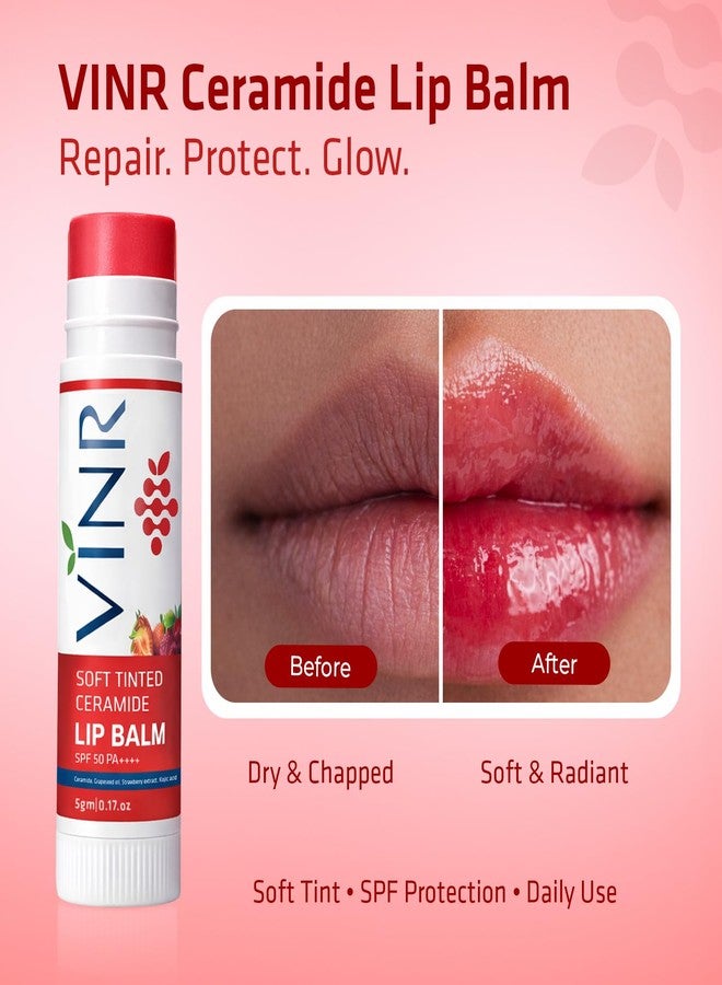 VINR Tinted Lip Balm for Pigmented Lips SPF 50 PA+++ | Kojic Acid, Niacinamide & Ceramide Lip Care | Strawberry Lip Balm for Dry & Damaged Lips (5g Pack of 1 - Image 2