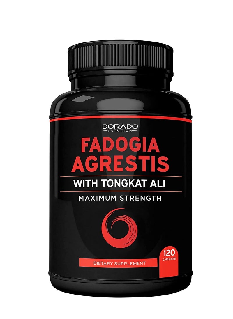 DORADO NUTRITION Fadogia Agrestis 600mg 120 Capsules - pzsku/Z4A339C868F793AD2CA97Z/45/_/1664274063/8e62dbb8-1a90-46c9-a449-33b53dc797f6