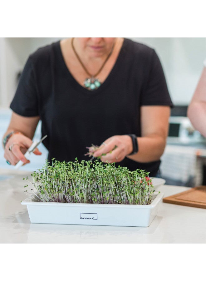 HAMAMA HAMAMA Microgreens Growing Kit - Sprouts Growing Kit, Sprouting Kit, Grow Microgreens Indoor, Microgreens Starter Kit with CERAMIC Tray, Organic & Non-GMO Microgreen SeedsKale, Broccoli, Salad Seeds  - Image 4
