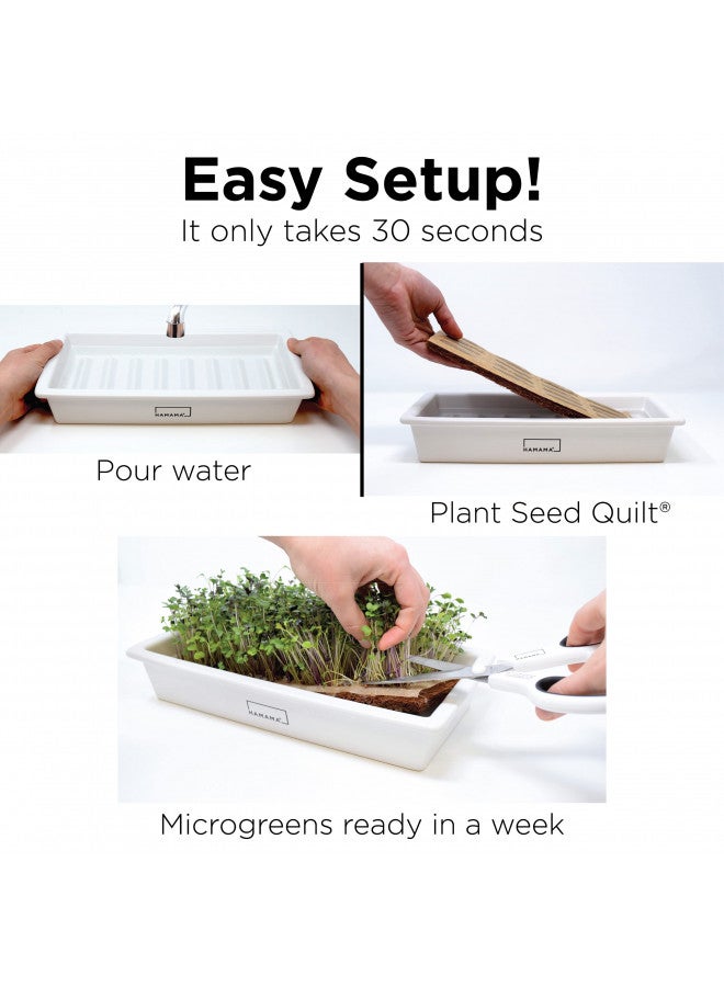 HAMAMA HAMAMA Microgreens Growing Kit - Sprouts Growing Kit, Sprouting Kit, Grow Microgreens Indoor, Microgreens Starter Kit with CERAMIC Tray, Organic & Non-GMO Microgreen SeedsKale, Broccoli, Salad Seeds  - Image 2