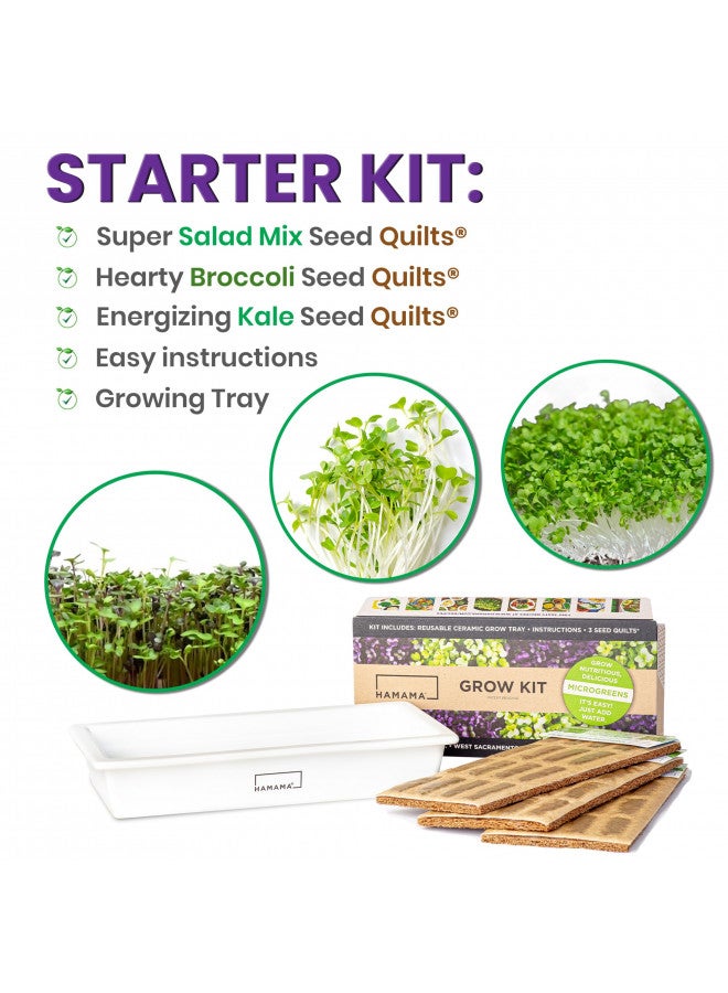 HAMAMA HAMAMA Microgreens Growing Kit - Sprouts Growing Kit, Sprouting Kit, Grow Microgreens Indoor, Microgreens Starter Kit with CERAMIC Tray, Organic & Non-GMO Microgreen SeedsKale, Broccoli, Salad Seeds  - Image 1
