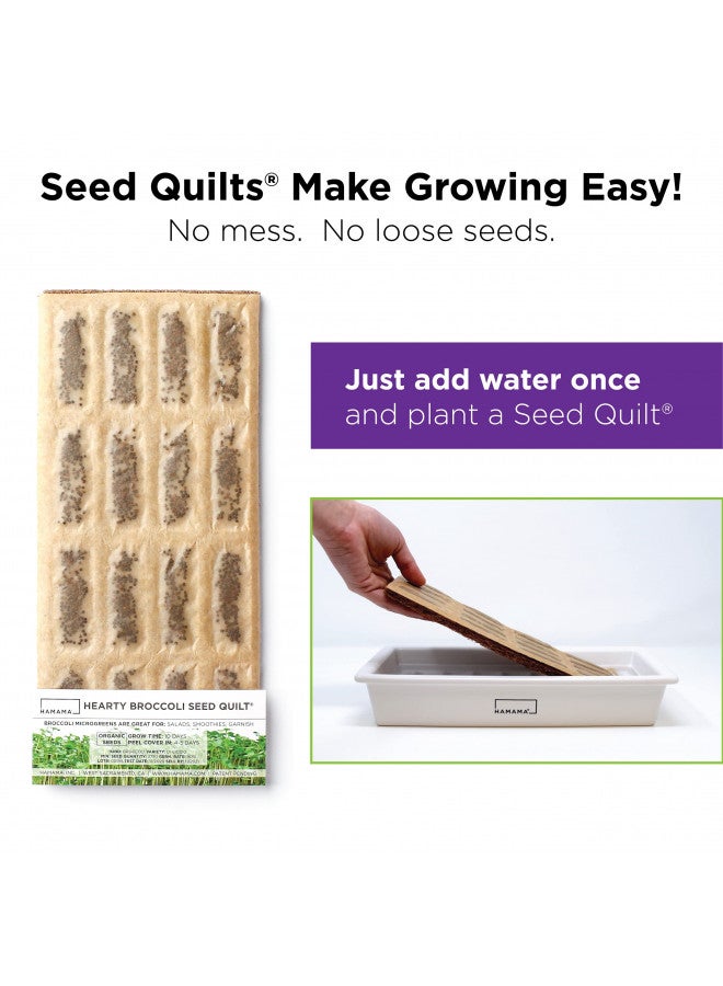 HAMAMA HAMAMA Microgreens Growing Kit - Sprouts Growing Kit, Sprouting Kit, Grow Microgreens Indoor, Microgreens Starter Kit with CERAMIC Tray, Organic & Non-GMO Microgreen SeedsKale, Broccoli, Salad Seeds  - Image 3