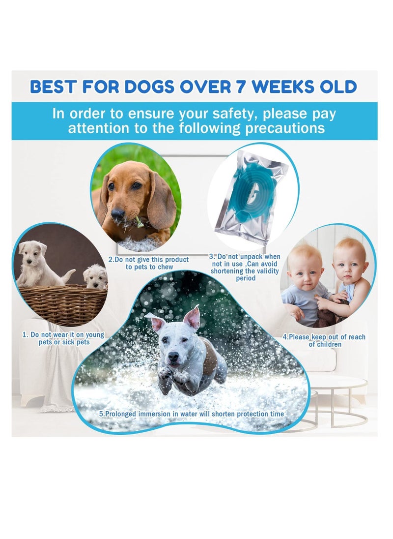 Y&D - Calming Collar for Dogs, 4 Pcs Anxiety Relief Dog Pheromone Collar, Puppy or Stress, 25 Inch Adjustable Relaxing Comfortable Small Medium Large - Image 1