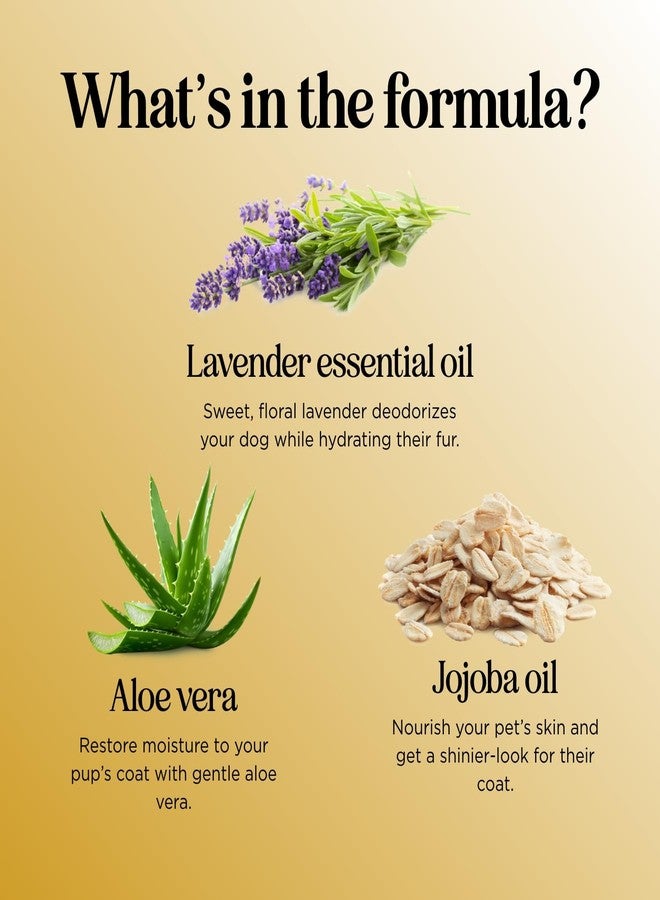 Honeydew Soothing Oatmeal Shampoo for Dogs - Cleansing and Moisturizing Aloe & Oatmeal Dog Shampoo for Smelly Dogs of all Ages & Breeds - Gentle Sulfate and Paraben Free Dog Wash Made in USA (Sweet Cherry) - Image 4