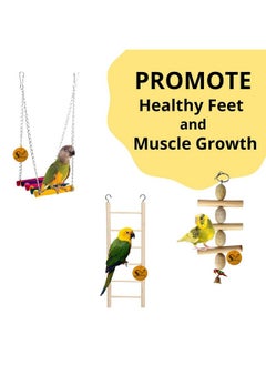 Sage Square Wooden Bird Toys Combo | Breeding Box, Ladder, Sand Perch, Swing, Hanging Cage Accessory | For Budgie, Parrot, Cockatiel, Parakeet, Conure, Macaw Etc  - Image 4