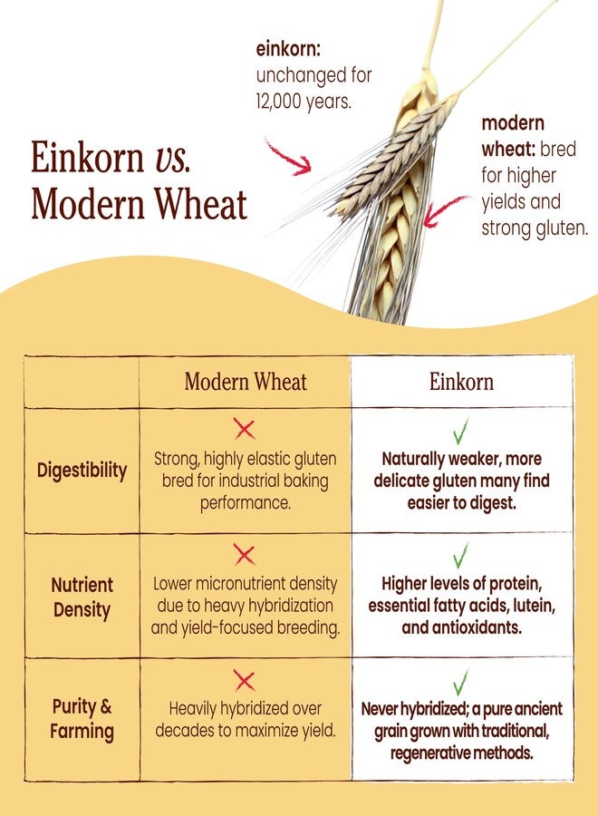 Jovial Einkorn Baking Flour | 100% Organic Einkorn Whole Wheat Flour | 100% Whole Grain | High Protein | Non-GMO | USDA Certified Organic | Delicious Taste | Product of Italy | 32 oz (2 Pack) - Image 5