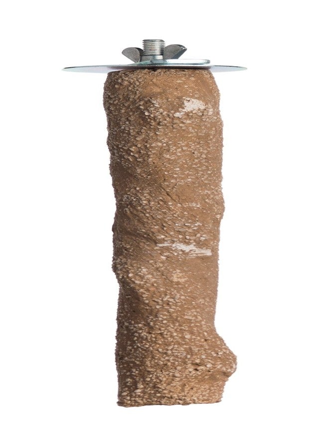 Prevue Pet Products Pacific Perch Beach Branch Medium 1011