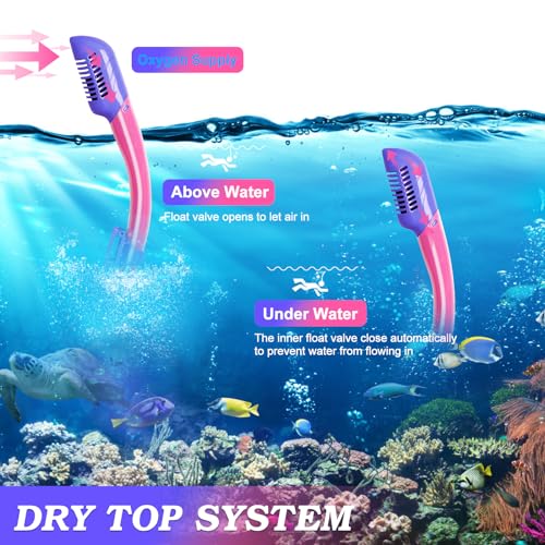 ACQCES Snorkeling Gear for Kids Ages 5-15, 4 in 1 Mask Fins Snorkel Set with HD Tempered Glass Panoramic View Anti-Fog Mask, Dry Top Snorkel, Adjustable Trek Fins, and Mesh Bag, Kids Snorkel Set for Youth - Image 5