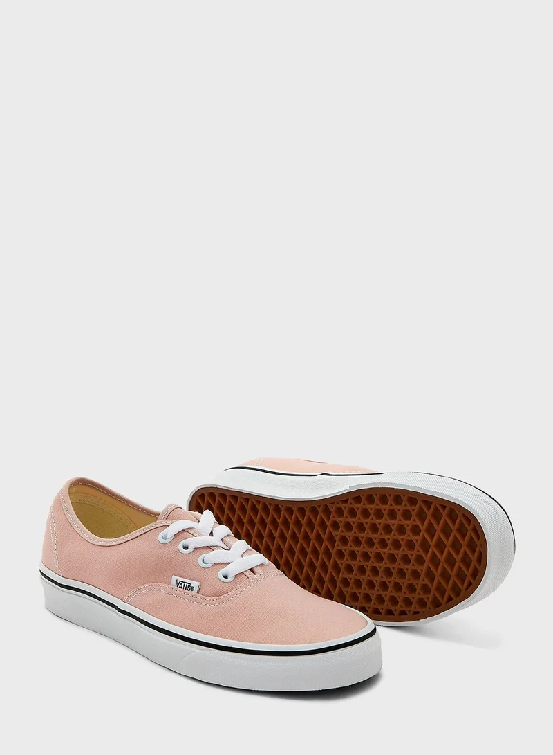 VANS Authentic