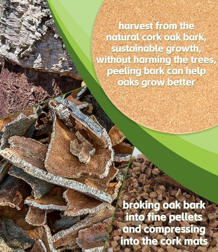 KITLAB Cork Plant Coasters, Double Layers 6 Inch Cork Planter Coaster, Absorbent Cork Plant Mats, Cork Plant Coasters for House Plants, 6 Pcs - Image 2