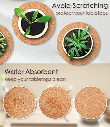 KITLAB Cork Plant Coasters, Double Layers 6 Inch Cork Planter Coaster, Absorbent Cork Plant Mats, Cork Plant Coasters for House Plants, 6 Pcs - Image 5