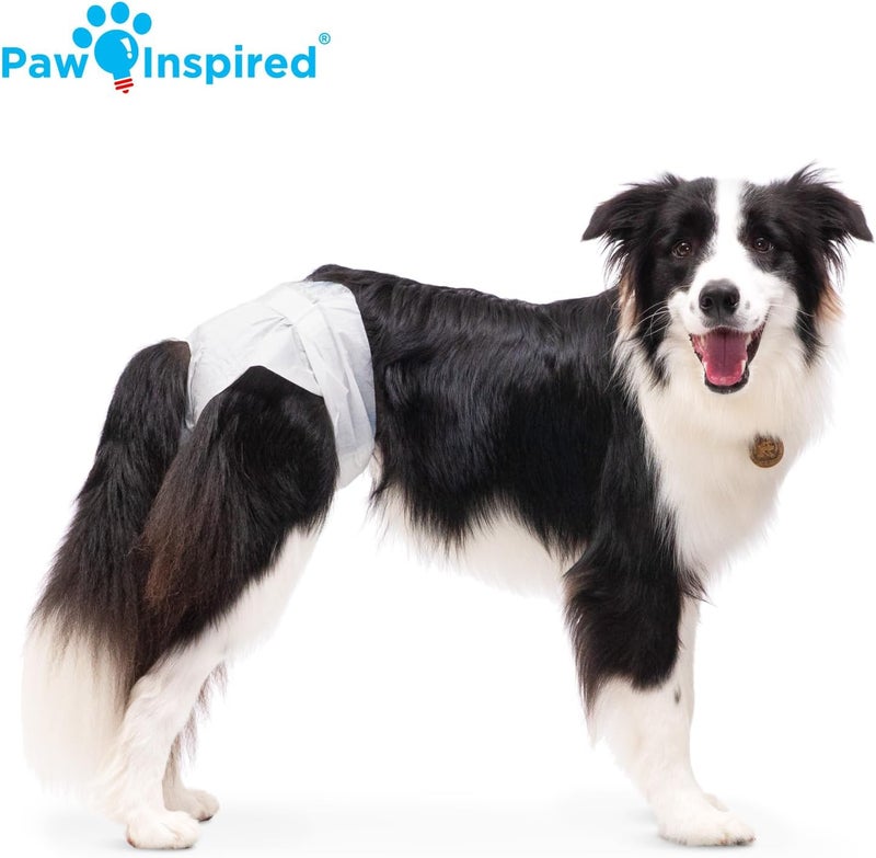 Paw Inspired مناديل صحية للكلاب قابلة للتخلص من ماركة Paw Inspired، سعة 20 قطعة | مناديل صحية للكلاب الإناث بحماية فائقة | مناسبة للكلاب في فترة الحرارة، أو التي تعاني من مشاكل في التبول أو عدم القدرة على التحكم في التبول (كبيرة الحجم) - Image 4