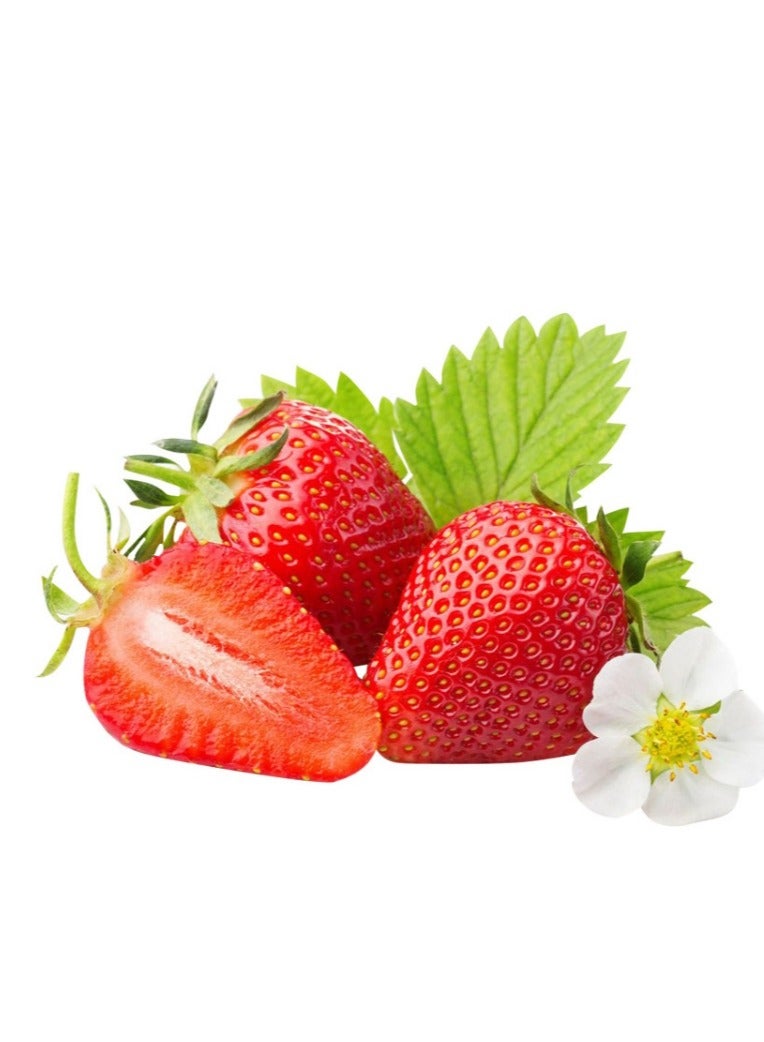 Generic 200 PCS Strawberry Seeds  For Home Garden Plant Seeds  - Image 1