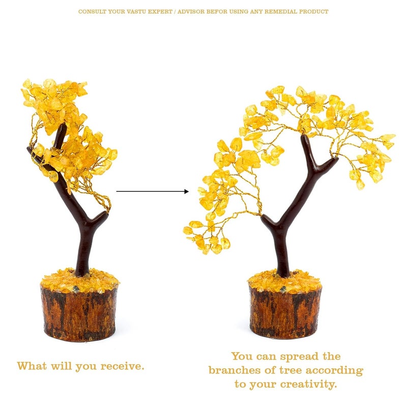 TREE MAISON CORONATING HOMES TREE MAISON CORONATING HOMES Crystal Natural Citirine Tree Size 910 Inch 100 Beads Natural Citrine Tree for Reiki Healing Vastu Correction Prosperity and Increased Creativity - Image 4