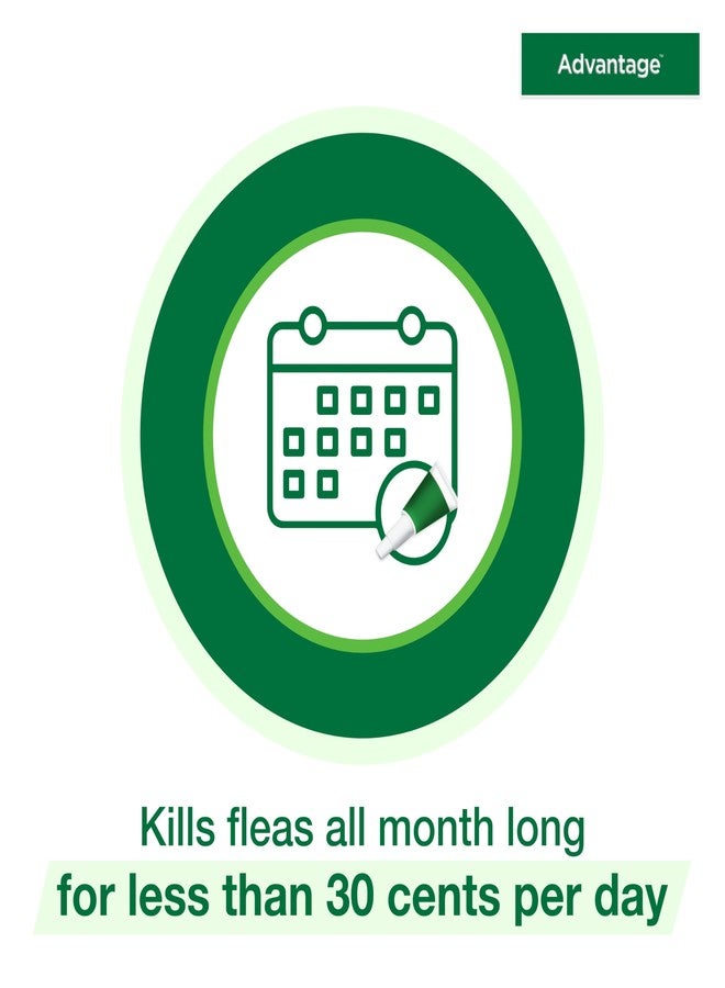 Advantage Topical Cat Flea Treatment and Prevention for Large Cats Over 9 lbs. | Apply Flea Drops Monthly | 2 Treatments - Image 5