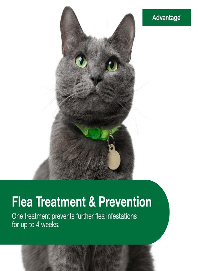Advantage Topical Cat Flea Treatment and Prevention for Large Cats Over 9 lbs. | Apply Flea Drops Monthly | 2 Treatments - Image 4