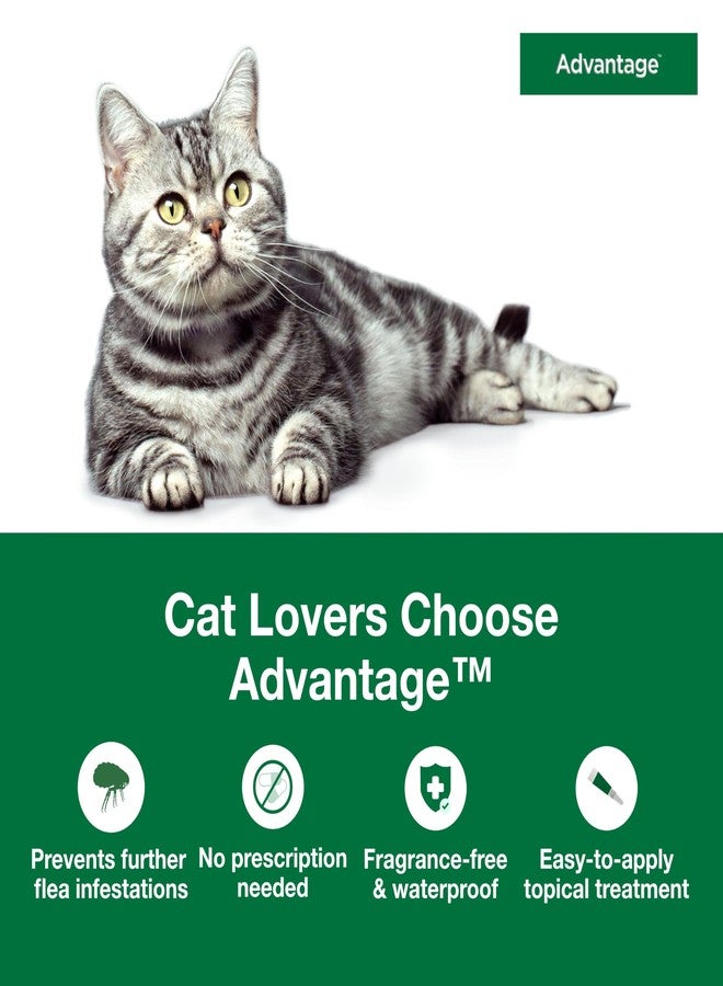 Advantage Topical Cat Flea Treatment and Prevention for Large Cats Over 9 lbs. | Apply Flea Drops Monthly | 2 Treatments - Image 3