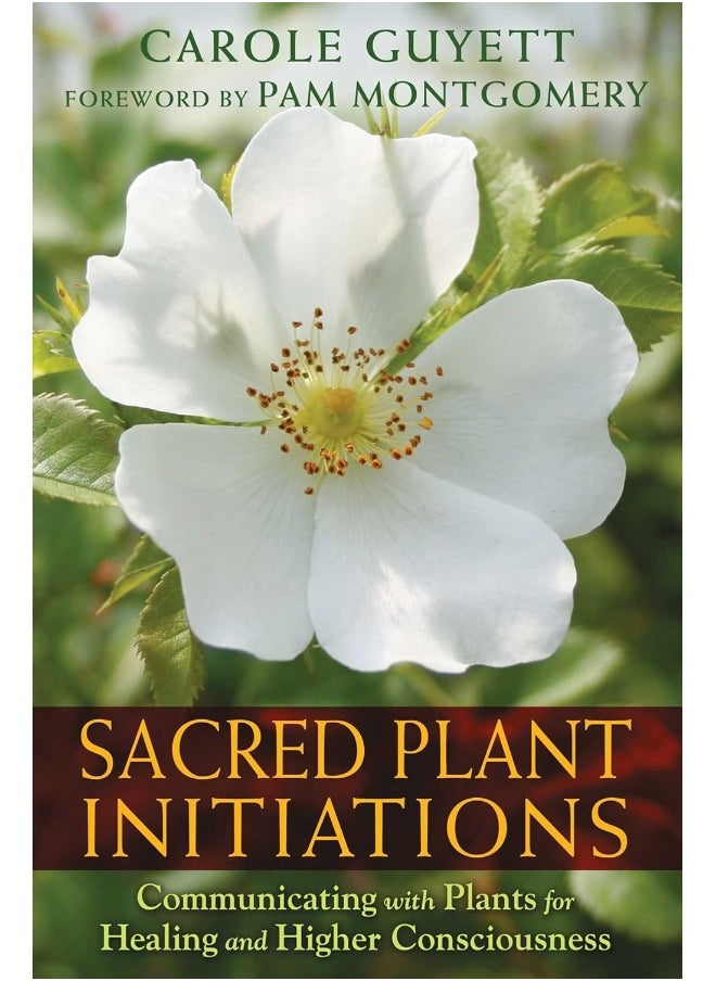 Sacred Plant Initiations: Communicating with Plants for Healing and Higher Consciousness 