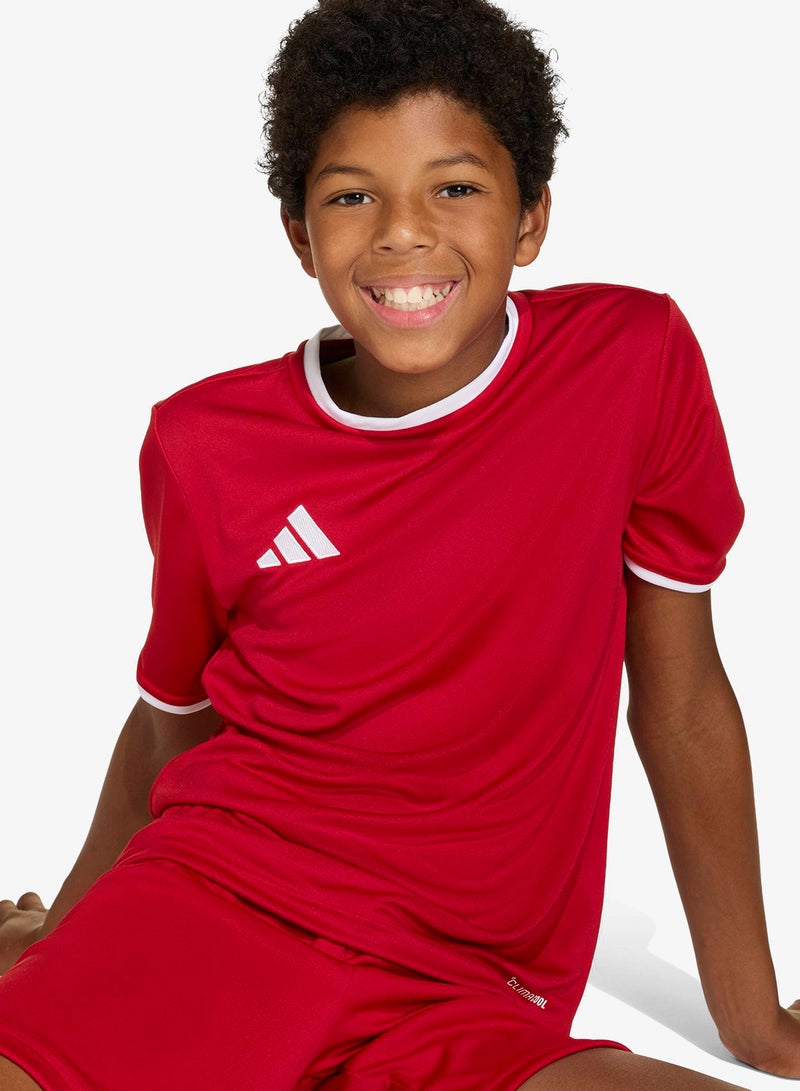 Adidas Youth Entrada26 Jersey - Image 3