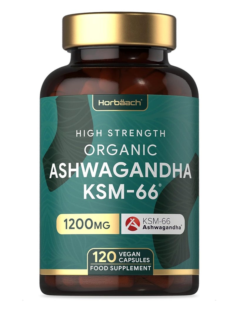 Horbaach Horbaach KSM 66 Ashwagandha 120 Capsule  - Image 1