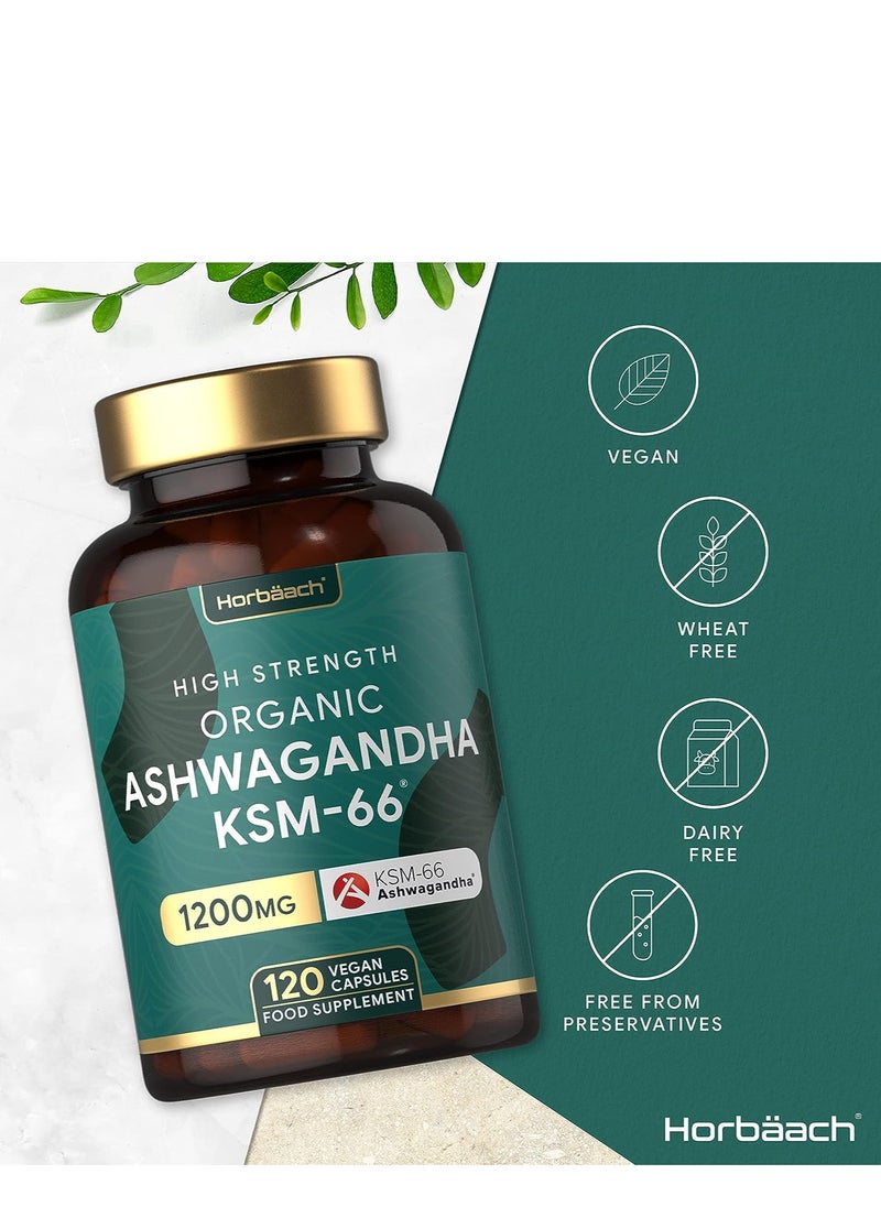 Horbaach Horbaach KSM 66 Ashwagandha 120 Capsule  - Image 3