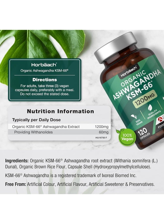 Horbäach Organic Ashwagandha KSM-66 1200mg | High Strength Withanolides | 120 Vegan Capsules | Supplement for Men & Women - Image 3