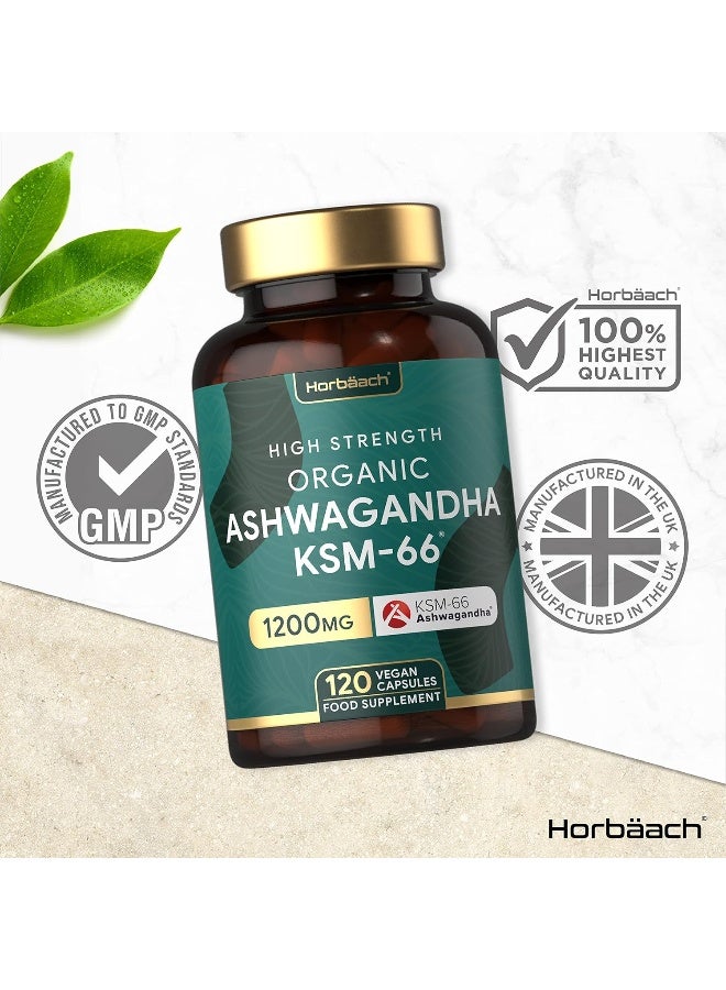 Horbäach Organic Ashwagandha KSM-66 1200mg | High Strength Withanolides | 120 Vegan Capsules | Supplement for Men & Women - Image 5