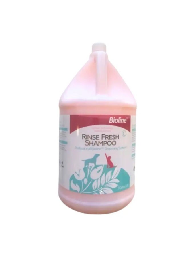 Bioline Cat & Dog Shampoo 3.8L[Volume - 3.8L] - Image 1