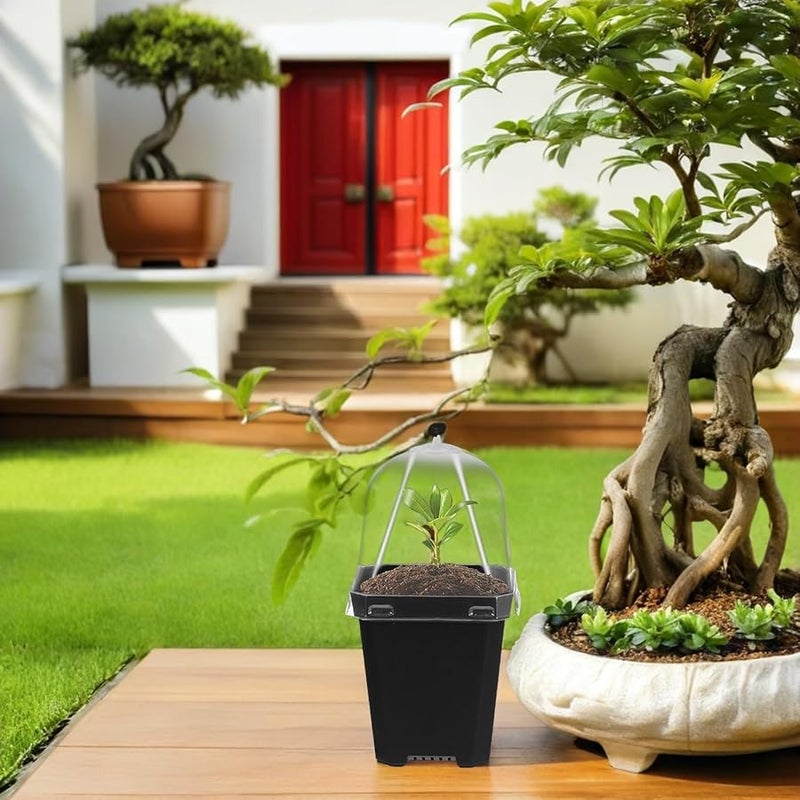 12 Pack Plastic Nursery Pots With Drainage And Covers For Seedlings Succulents Outdoor Plants - Image 5