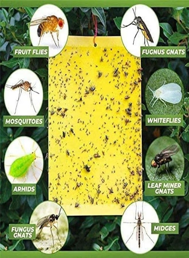 20-Piece Sticky Traps for Indoor or Outdoor Use, Flying Insects Catcher Such as Fruit Fly, Aphids, Whiteflies, Leafminers, Mosquitos, Fungus Gnats - Image 2