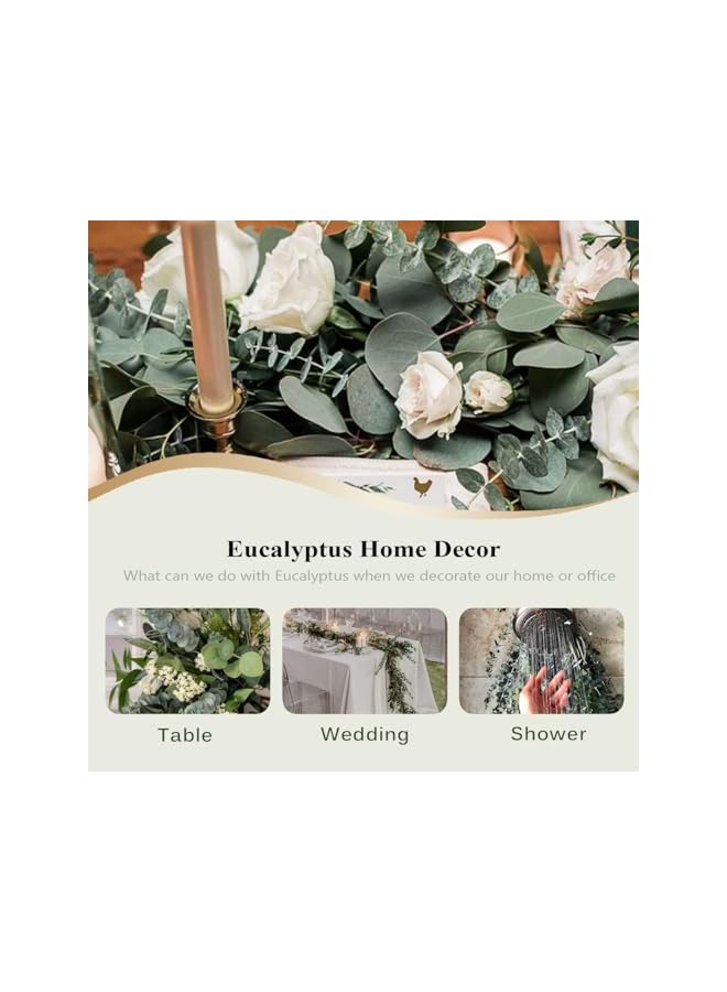 The Bros سيقان الأوكالبتوس المجففة 15 قطعة للأوكالبتوس لتزيين الحمام نباتات مجففة أوراق الأوكالبتوس المعلقة فروع لتزيين الحمام (15 قطعة) - Image 5