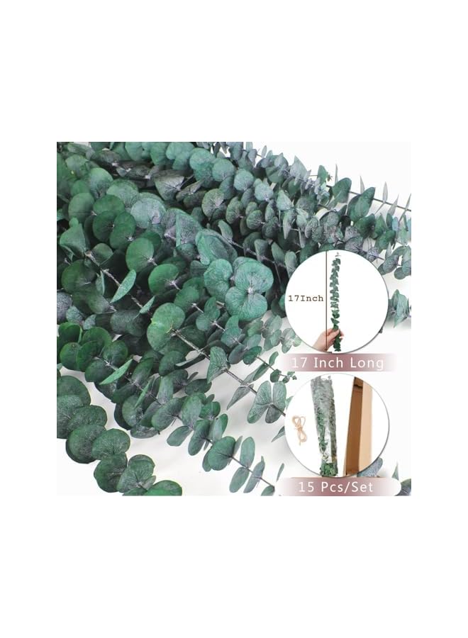 The Bros سيقان الأوكالبتوس المجففة 15 قطعة للأوكالبتوس لتزيين الحمام نباتات مجففة أوراق الأوكالبتوس المعلقة فروع لتزيين الحمام (15 قطعة) - Image 3