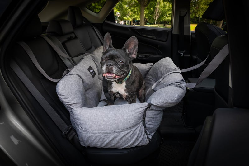 JACKO & CO - Premium Dog Car Seat v2 Booster Seat for Small & Medium Pets Under 40lbs - Machine Washable w Removable Covers, Water Resistant w Clip-On Leash for Back Seat Use (Grey Medium (25-40lbs) - Image 3