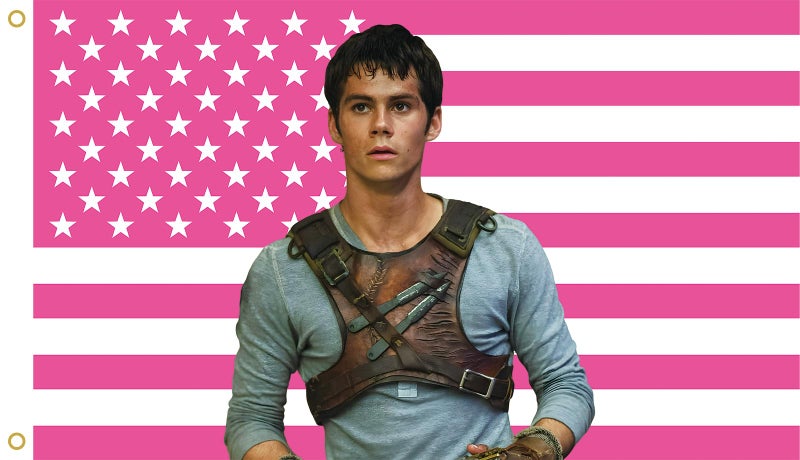 MAGJIUKE Dylan O'Brien Flag Tapestry, Pink American Flags 3x5 FT Polyester Wall Hanging with Brass Grommets, Outdoor Indoor Decorative for Bedroom Studio Room Dorm College Decor - Image 1