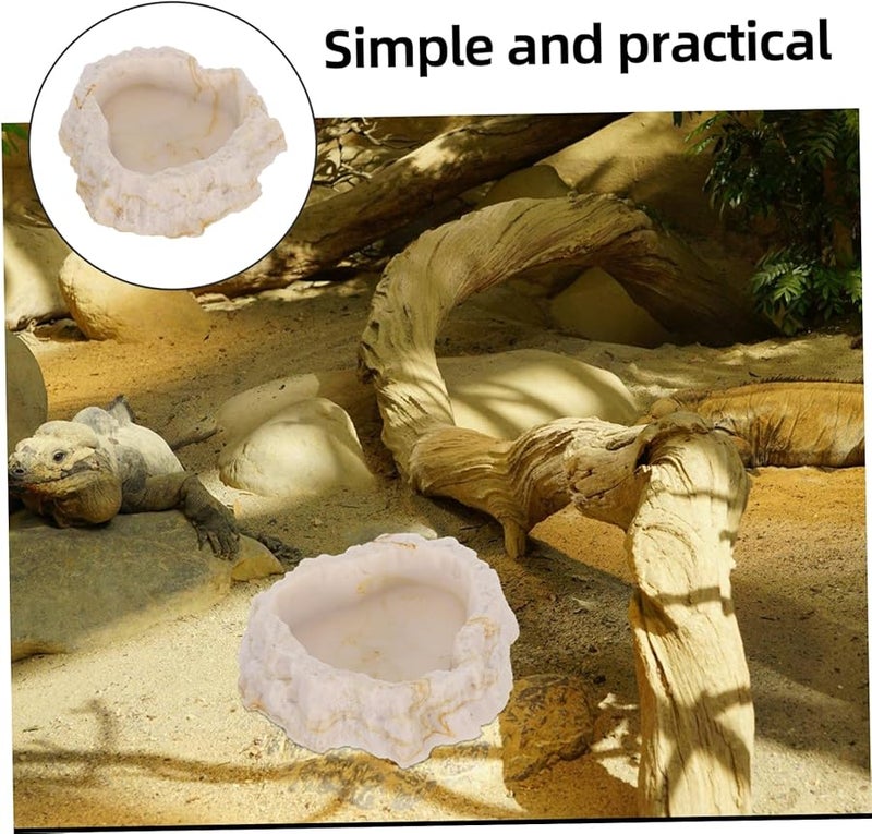 وعاء تغذية الصخور للزواحف، طبق ماء لسلحفاة، أبو بريص، ثعبان، إكسسوارات حوض، حجر طبيعي - Image 5