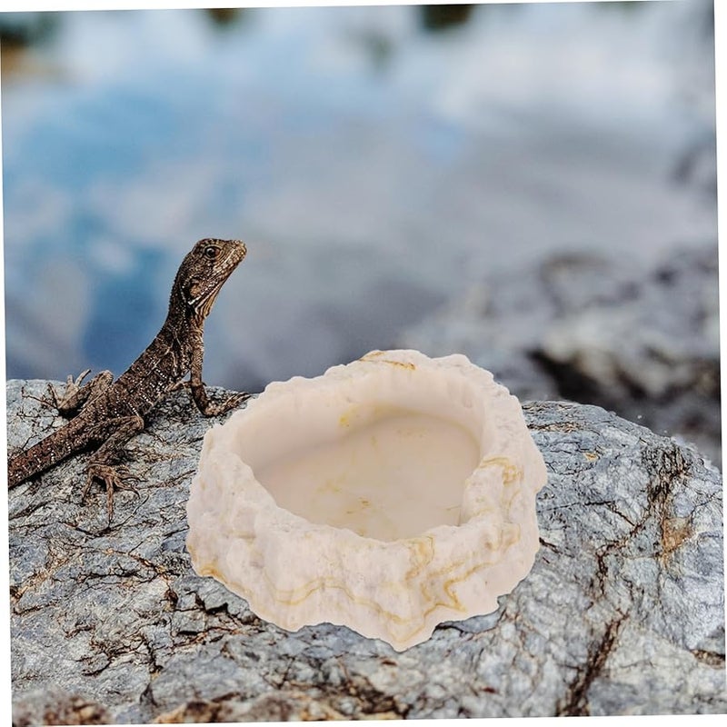 وعاء تغذية الصخور للزواحف، طبق ماء لسلحفاة، أبو بريص، ثعبان، إكسسوارات حوض، حجر طبيعي - Image 4