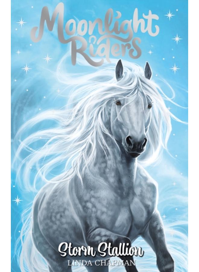 Moonlight Riders: Storm Stallion : Book 2