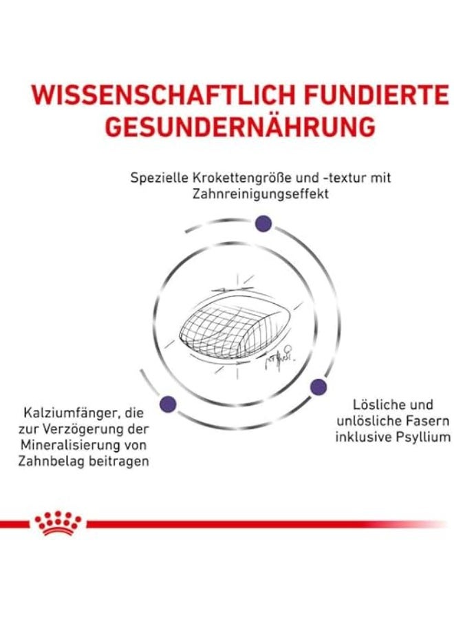 رويال كانين طعام القطط الجاف من رويال كانين، المتخصص في التغذية البيطرية وطب الأسنان. - Image 4