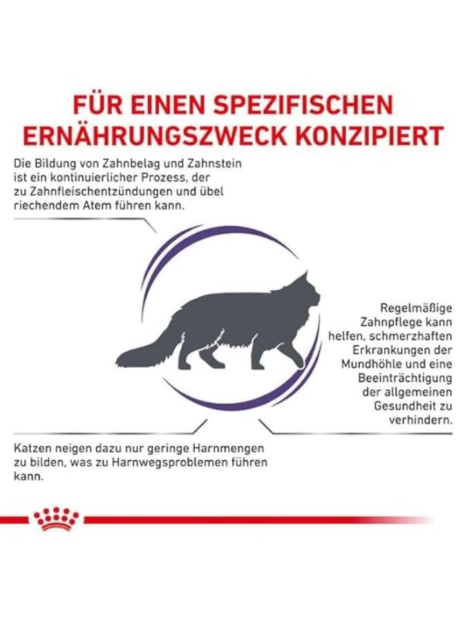 رويال كانين طعام القطط الجاف من رويال كانين، المتخصص في التغذية البيطرية وطب الأسنان. - Image 3