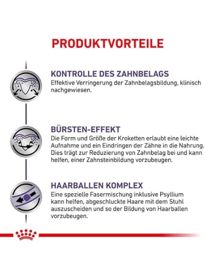 رويال كانين طعام القطط الجاف من رويال كانين، المتخصص في التغذية البيطرية وطب الأسنان. - Image 2