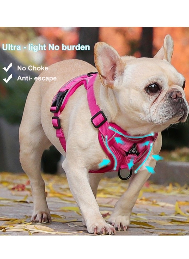 Breathable Dog and Cat Harness and Leash Set for small and medium pets, with Reflective Strips, Elastic and Buckle Dual Adjustment, Breathable and No choke