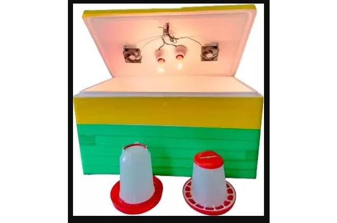 HUMBE&CO - Save Trees, Save Earth HUMBE&CO- جهاز حضانة بيض شبه أوتوماتيكي بجسم من الفوم - Image 1