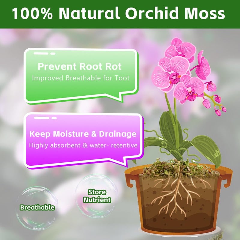 OFFCUP 1000g Sphagnum for Plant, Fresh Compressed Sphagnum for Orchids Mix Pot, Natural Moss for Reptiles, Sphagnum Stake Natural Culture Substrate (1000g) - Image 4