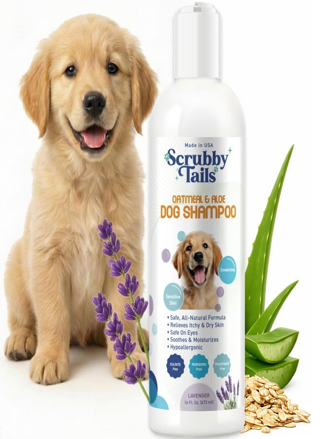 Scrubby Tails Organic Dog Shampoo - Puppy Oatmeal Shampoo for Itchy Skin Relief - Hypoallergenic for Sensitive Skin, for Dogs of All Ages, Deodorizes, Tearless, Made in USA, 16oz (Lavender) - Image 1